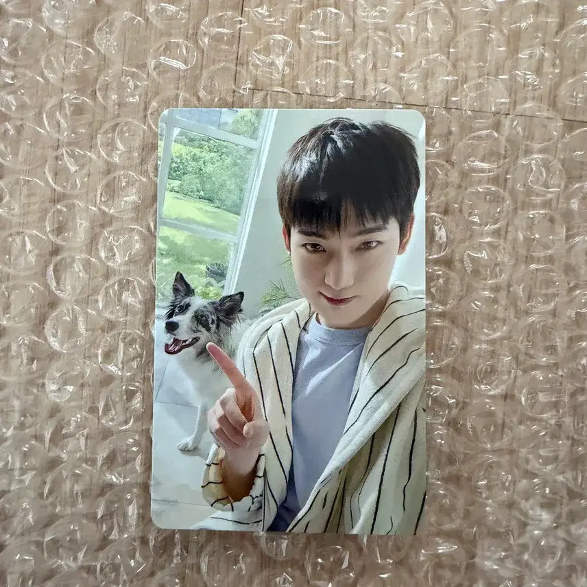 엔하이픈 선우 일본 멤버십 설문 특전 포카 판매