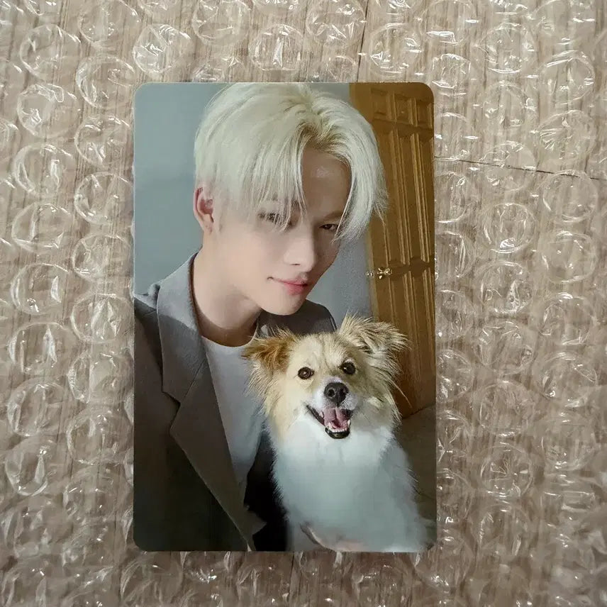 엔하이픈 니키 일본 멤버십 설문 특전 포카 판매