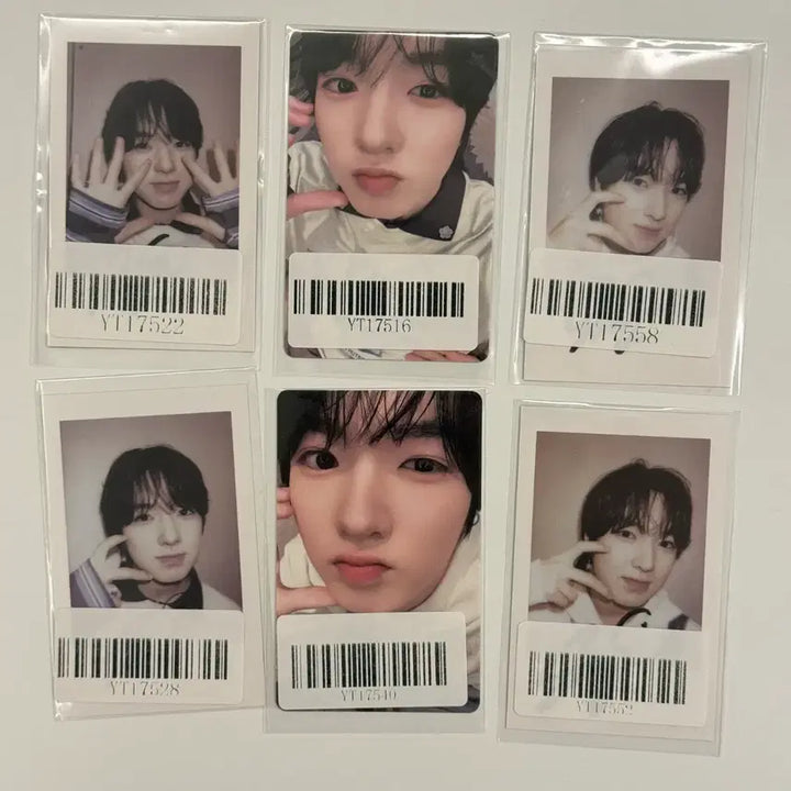 엔시티 위시 사쿠야 팝팝 kms 상하이 포카 미개봉 poppop