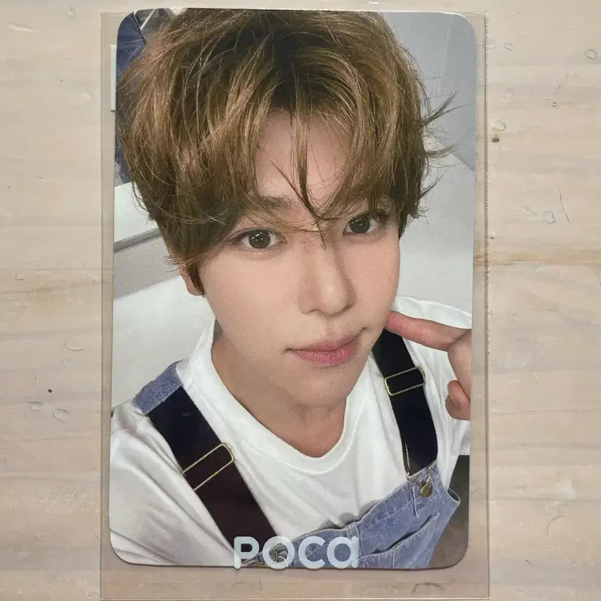 엔시티 위시 시온 송버드 케타포 포카 양도