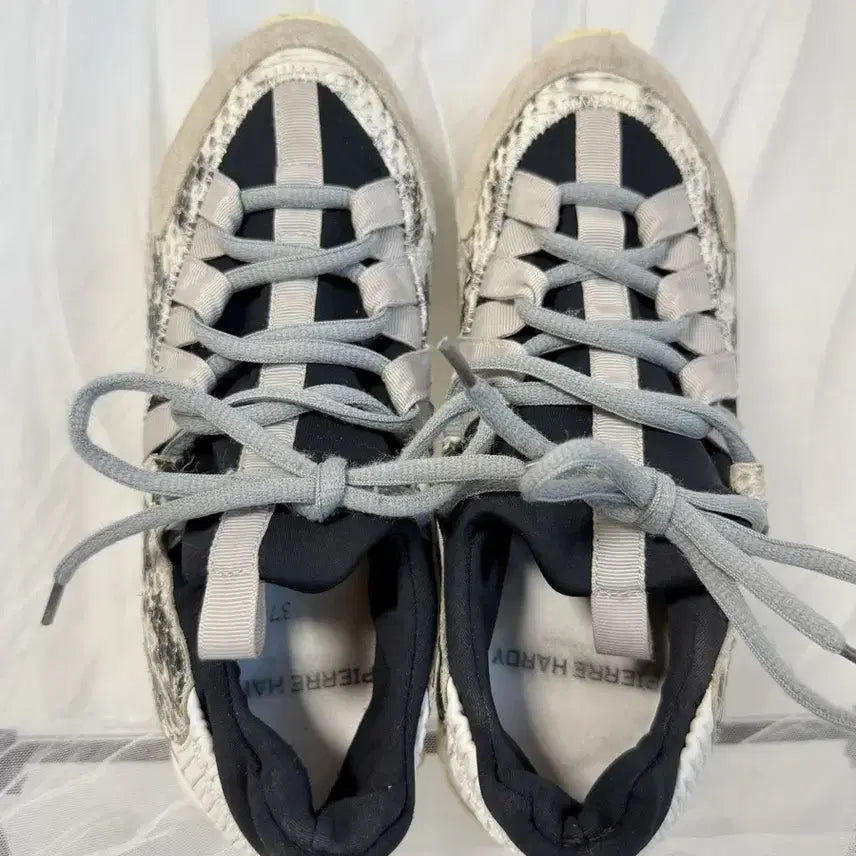 [BUNJANG] PIERRE HARDY Snakeskin Sneakers / PIERRE HARDY 피에르 하디 뱀피가죽 스니커즈