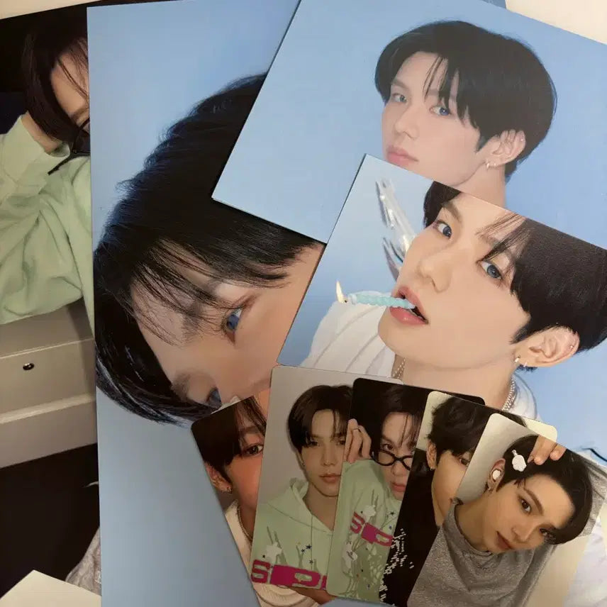 라이즈 시그 분철 쇼타로