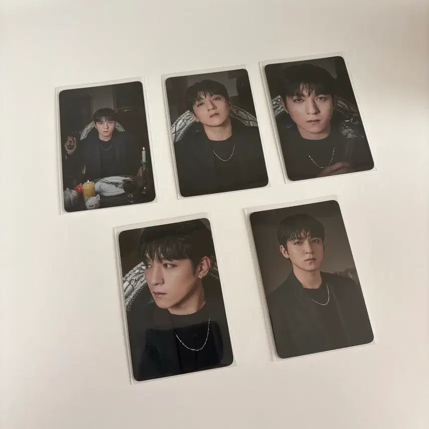 데이식스 엔트로피 할로윈 팝업 포카 성진 전국투어