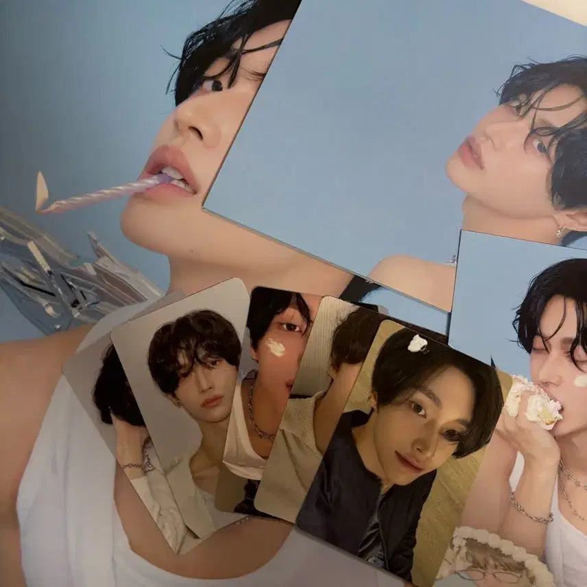 라이즈 시그 분철 원빈