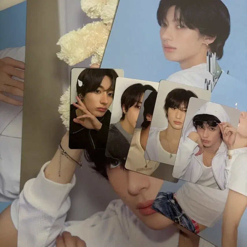 라이즈 시그 분철 앤톤