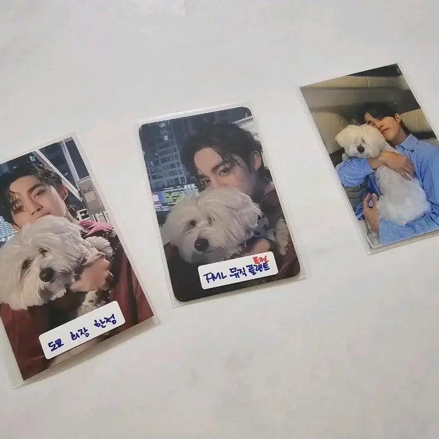 세븐틴 에스쿱스 꾸마 공식포카 2장 세트 도쿄 회장한정& 뮤직플랜트