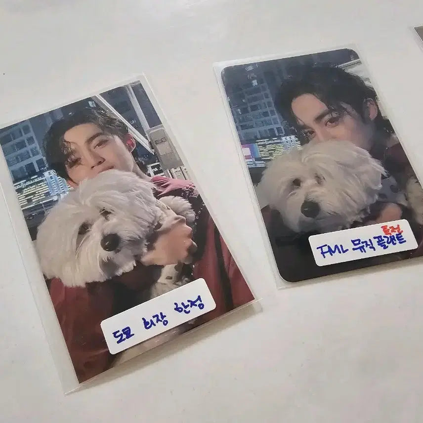 세븐틴 에스쿱스 꾸마 공식포카 2장 세트 도쿄 회장한정& 뮤직플랜트