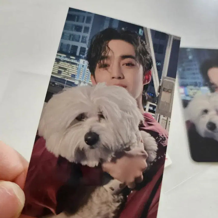 세븐틴 에스쿱스 꾸마 공식포카 2장 세트 도쿄 회장한정& 뮤직플랜트