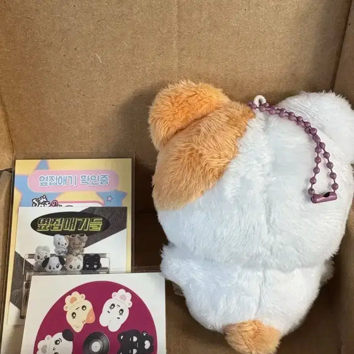 보넥도 보이넥스트도어 운학 하기 인형