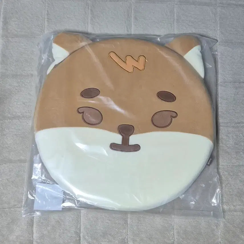 [미개봉/포카포함] 데이식스 쁘띠멀즈 케 방석