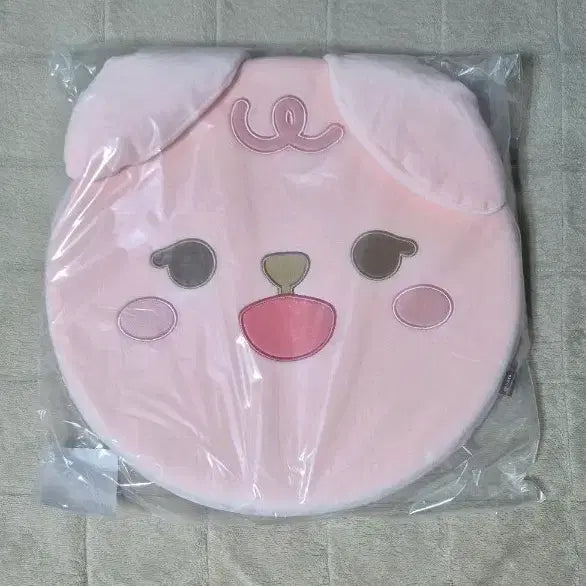 [미개봉/포카포함] 데이식스 쁘띠멀즈 필 방석