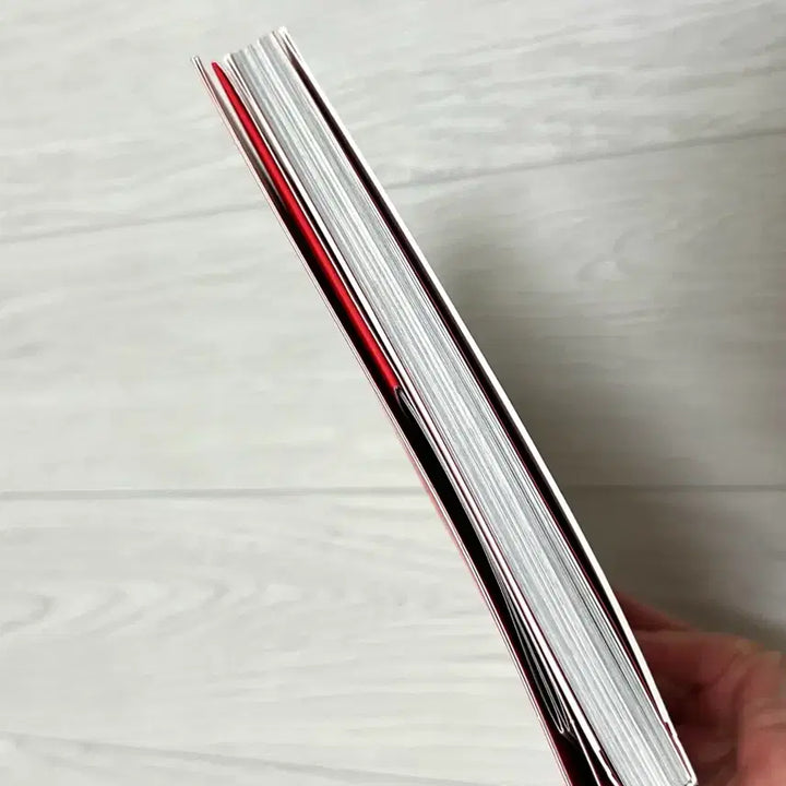 (원필 구성) 데이식스 밴드에이드 앨범