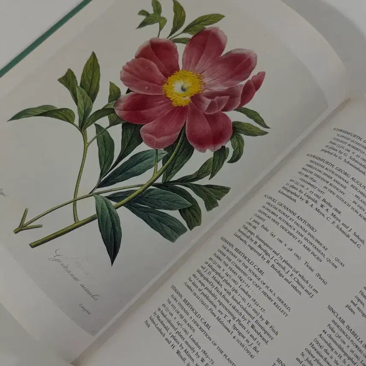 [BUNJANG] Vintage Botanical Flower Book / 빈티지 플라워북 보태니컬북 식물도감 빈티지도서 빈티지책