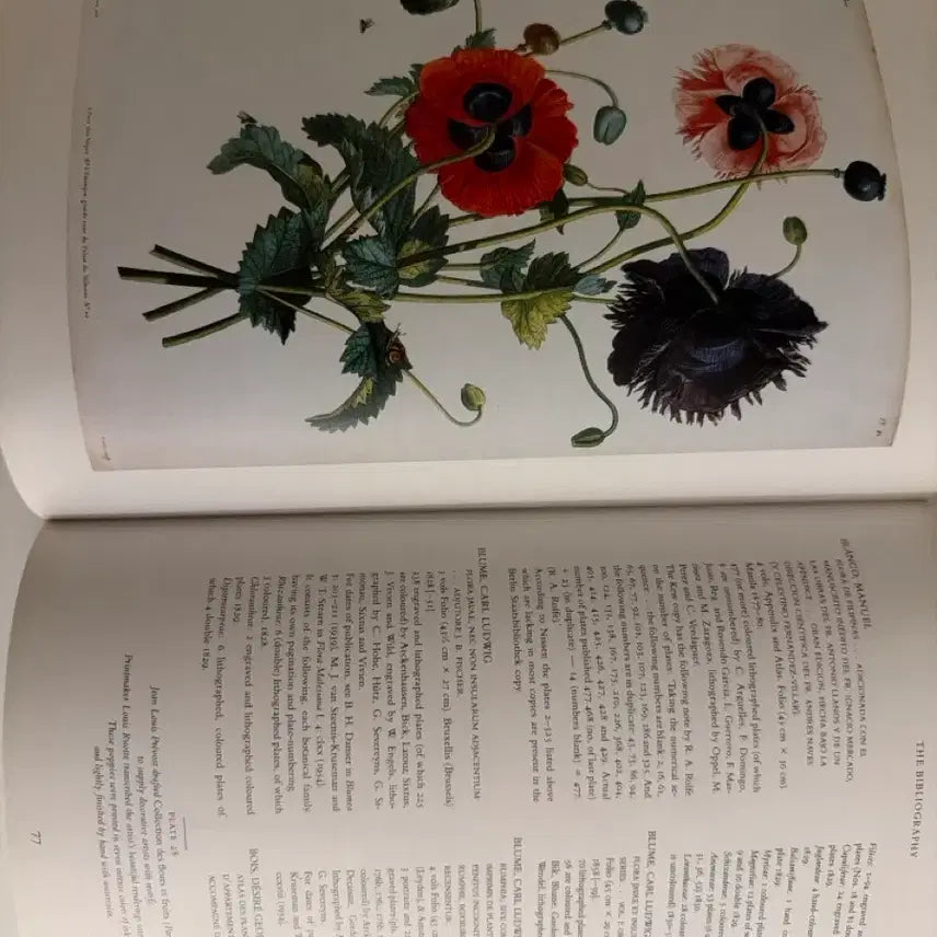 [BUNJANG] Vintage Botanical Flower Book / 빈티지 플라워북 보태니컬북 식물도감 빈티지도서 빈티지책