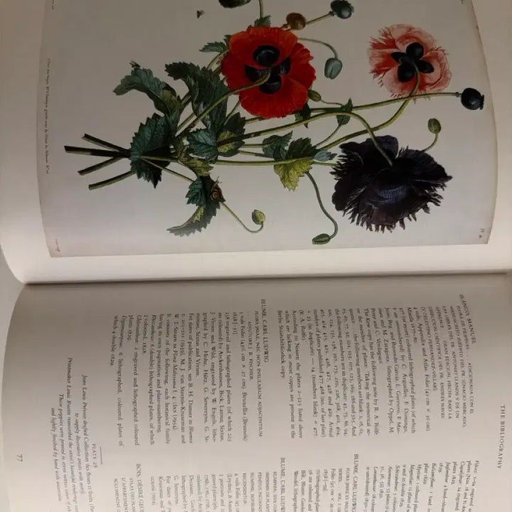 [BUNJANG] Vintage Botanical Flower Book / 빈티지 플라워북 보태니컬북 식물도감 빈티지도서 빈티지책