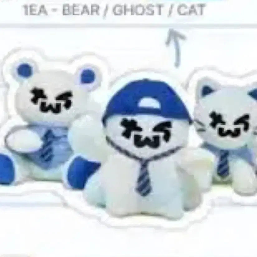 투어스 대왕투냥이 CAT