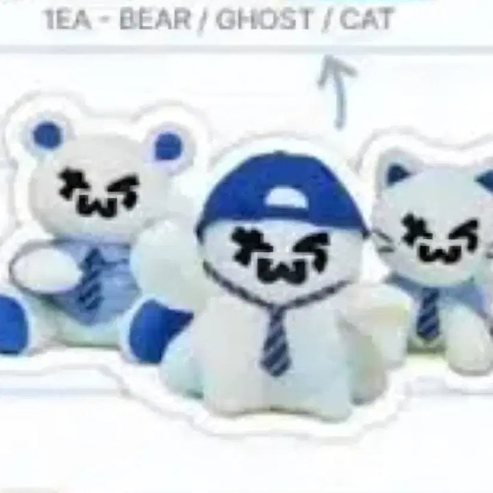 투어스 대왕투냥이 CAT