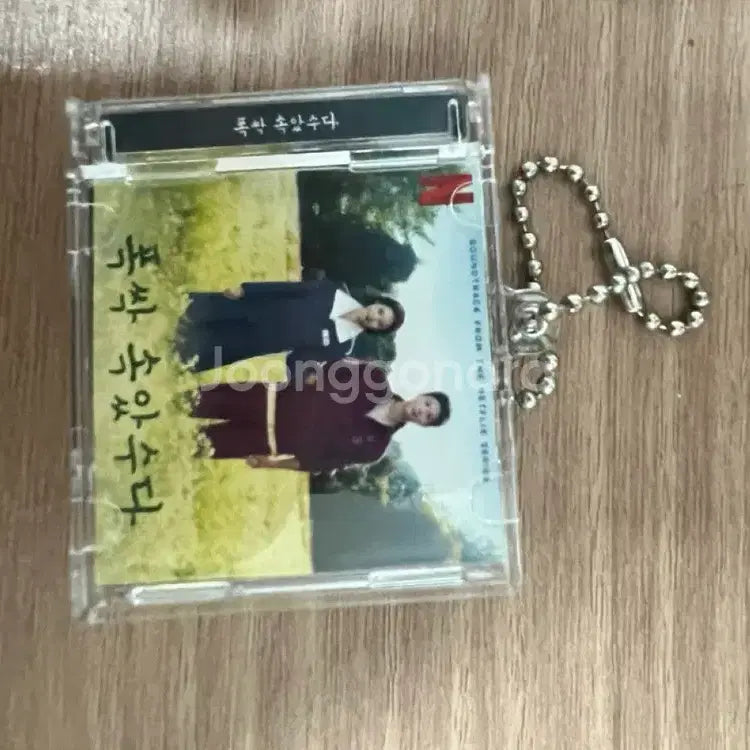 [BUNJANG] Crash Course Keyring / 폭싹속았수다 키링