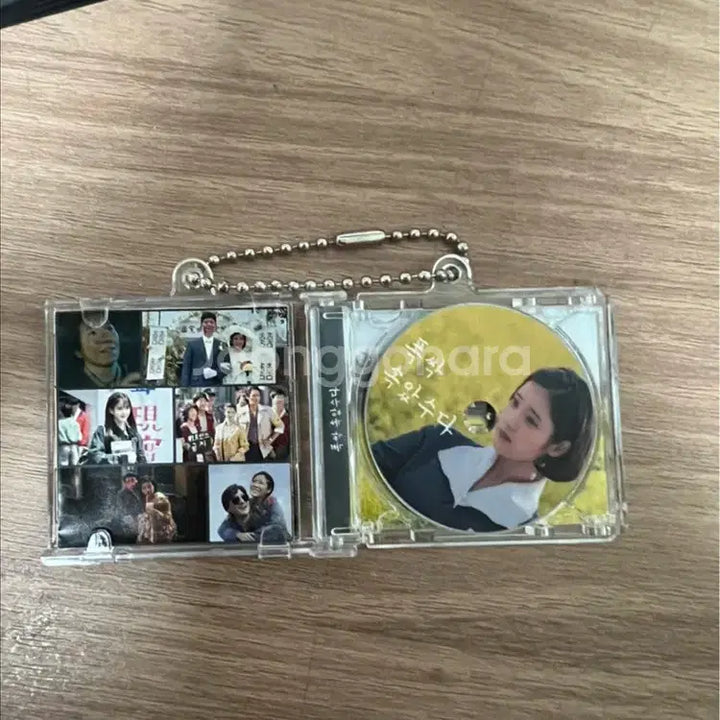 [BUNJANG] Crash Course Keyring / 폭싹속았수다 키링