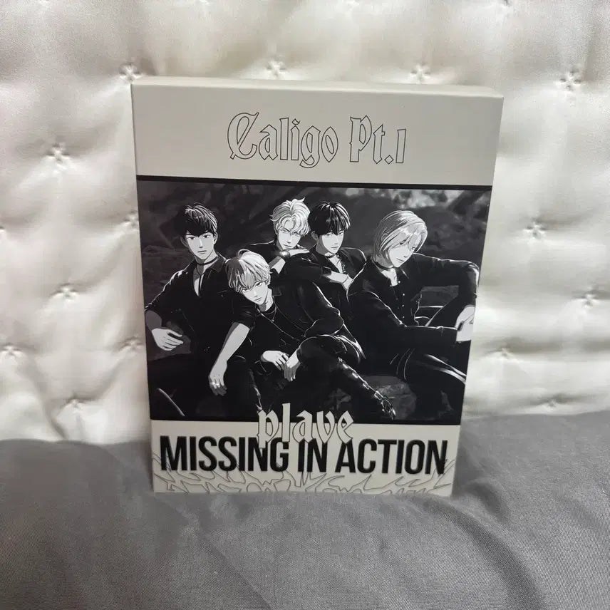 플레이브 데쉬 샤쉐