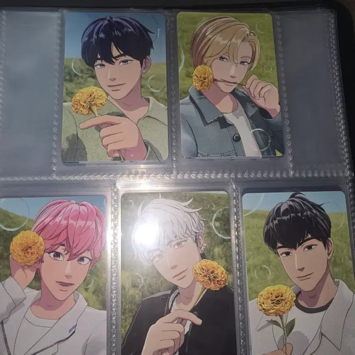 플레이브 메디힐 틴케이스 포카5장 일괄