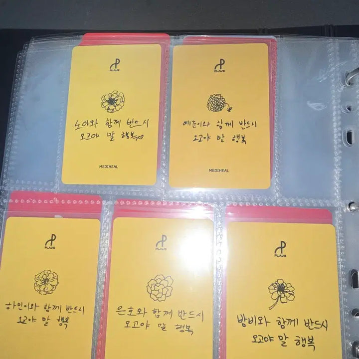 플레이브 메디힐 틴케이스 포카5장 일괄