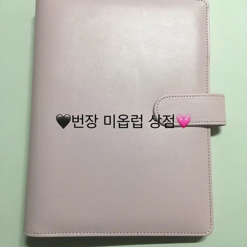 와우숍 마카롱 다이어리  바인더 A5 핑크