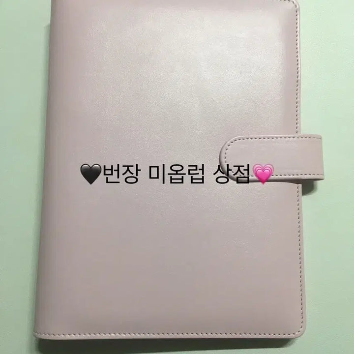 와우숍 마카롱 다이어리  바인더 A5 핑크