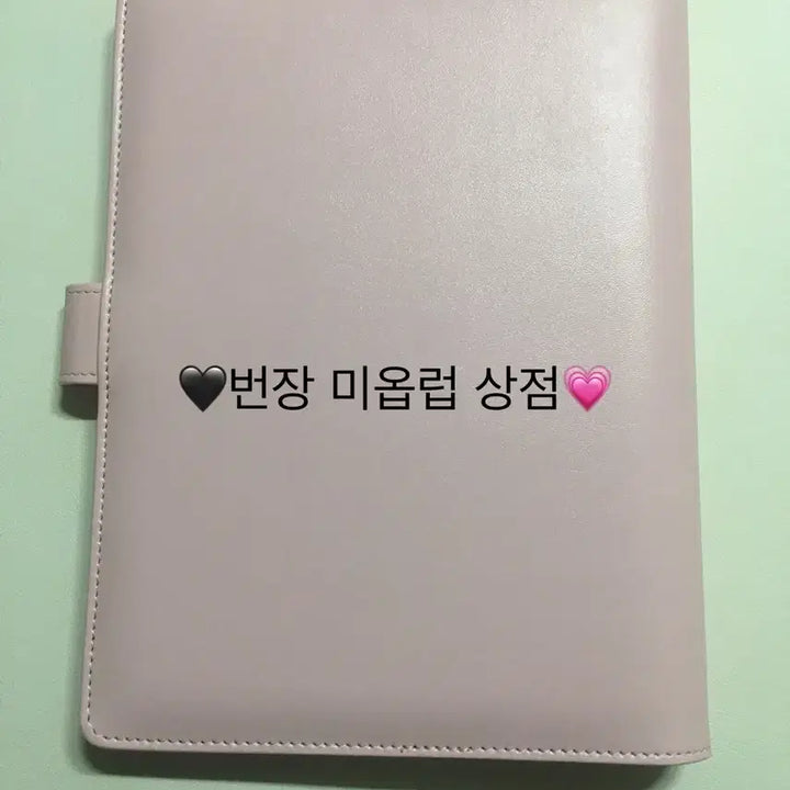 와우숍 마카롱 다이어리  바인더 A5 핑크