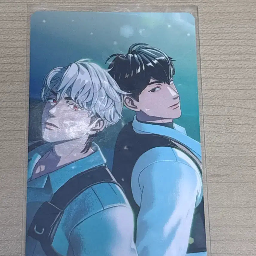 플레이브 은호,하민 포카