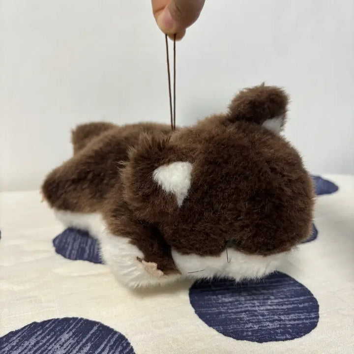 [BUNJANG] Flying Squirrel Plush Doll / 날다람쥐 인형