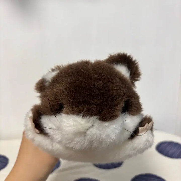 [BUNJANG] Flying Squirrel Plush Doll / 날다람쥐 인형