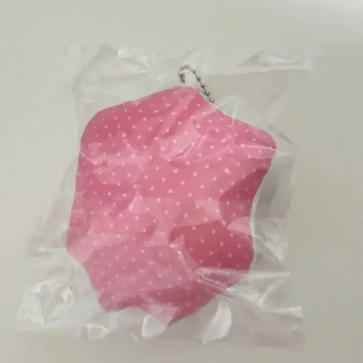 김부쫀님 운학 쿠션키링