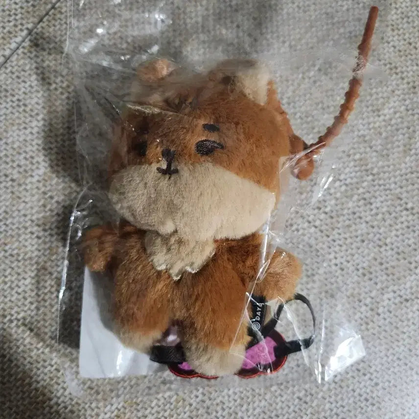 데이식스 쁘띠멀즈 태닝 케