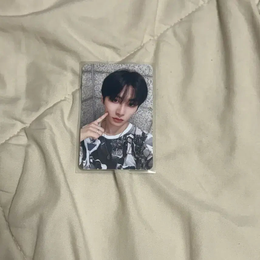 태산 포카 kpop merch 보넥도포카 보이넥스트도어