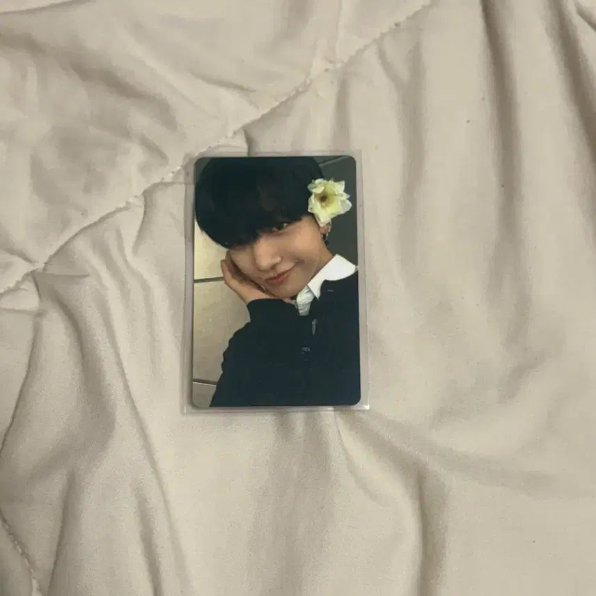 디액션 위버스 특전 명재현 보넥도포카 보이넥스트도어