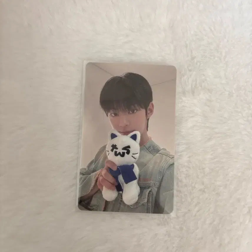 투어스 썸머비트 컴백라이브 특전 도훈