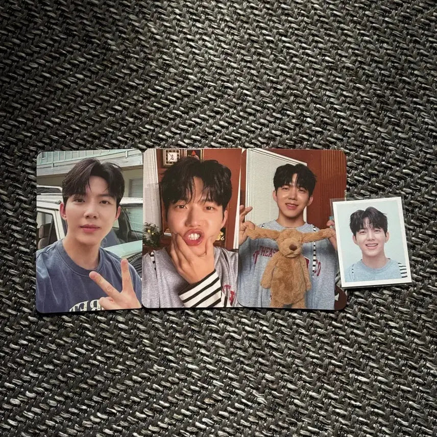 데이식스 24 시그 도운 포카, 증사 양도