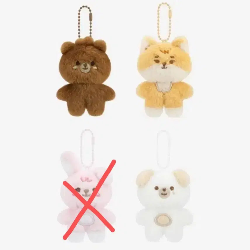 데이식스 쁘쁘멀 일괄(방케돈)