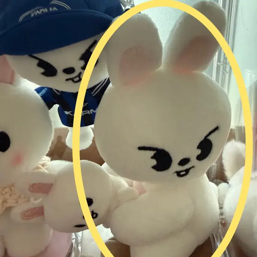 스트레이키즈 스키주 리빗 마그넷 플러시 셋트 도미네이트 앙콘MD