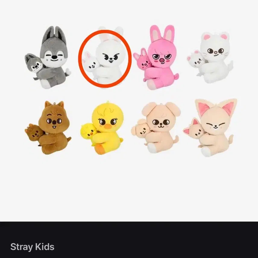 스트레이키즈 스키주 리빗 마그넷 플러시 셋트 도미네이트 앙콘MD