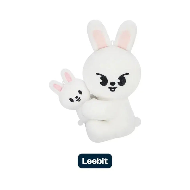 스트레이키즈 스키주 리빗 마그넷 플러시 셋트 도미네이트 앙콘MD