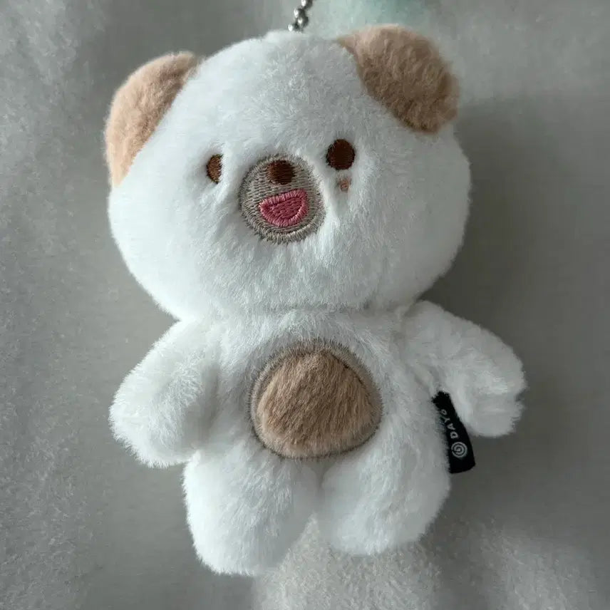 데이식스 쁘띠멀즈 돈 도운