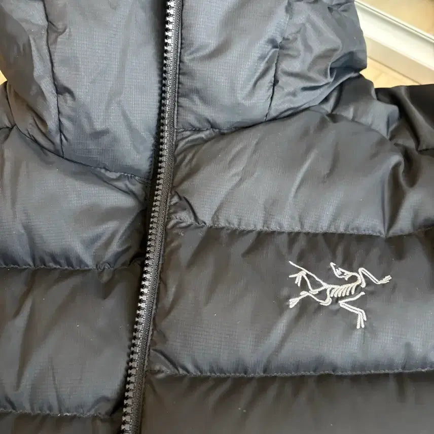 [BUNJANG] Arc'teryx Thorium AR Hoody (Size S) / 아크테릭스 토륨ar 후디 상태 최상 s사이즈 팔아요