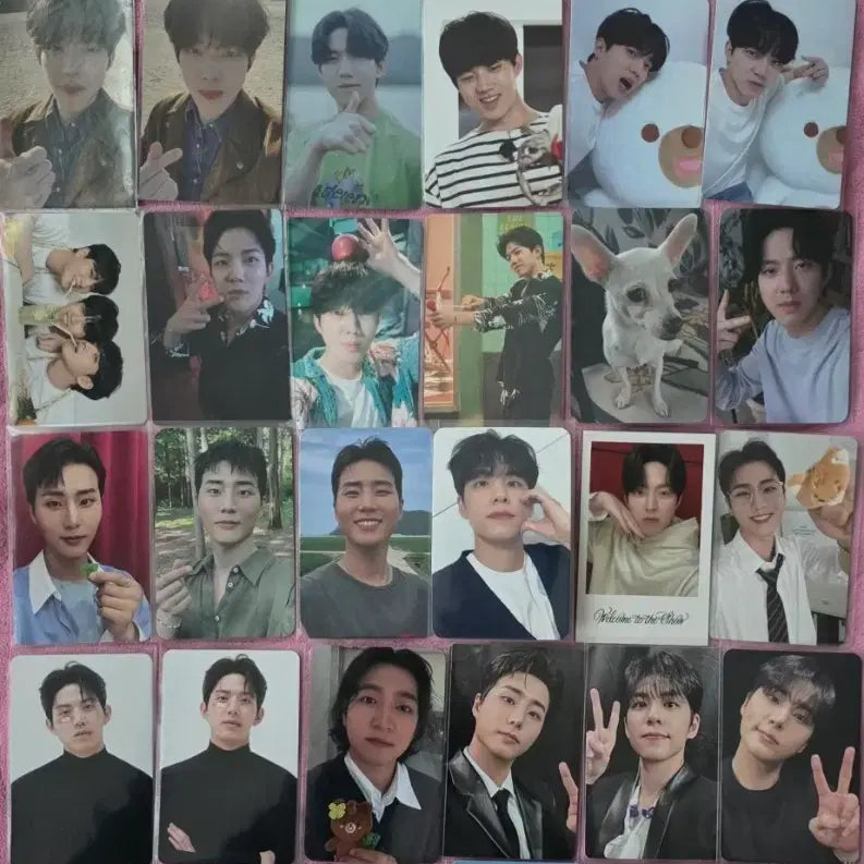 데이식스 포카 일괄판매