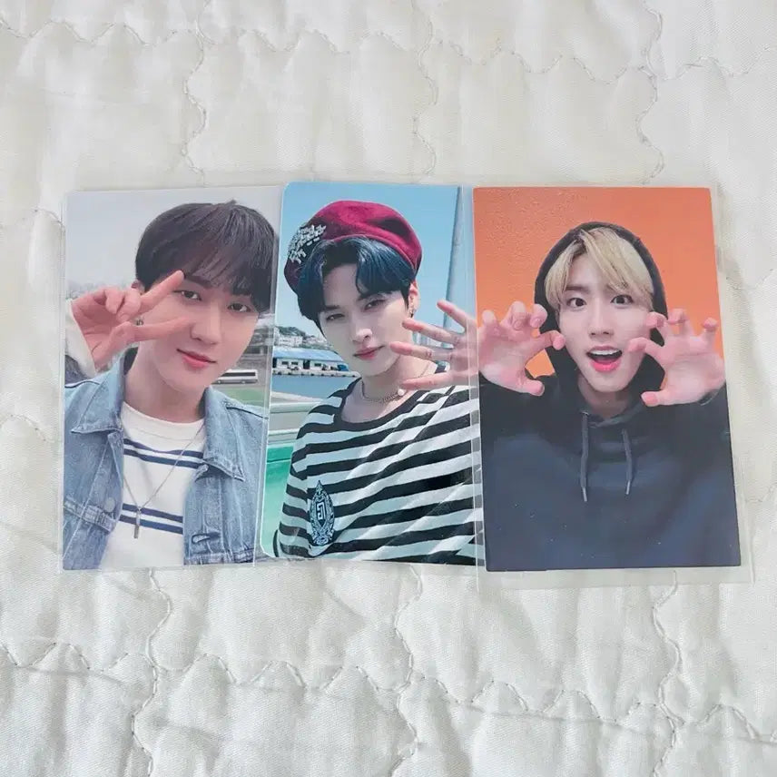 스키즈 포카 일괄