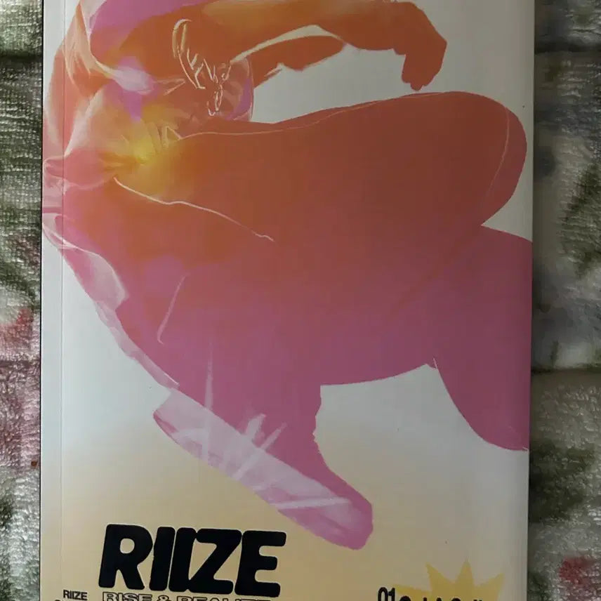 라이즈 Get A Guitar 개봉 앨범