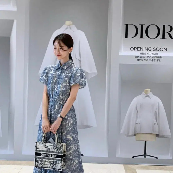 [BUNJANG] Blue Ink Painting Dress / 바이씨니 제작 수묵화원피스 블루