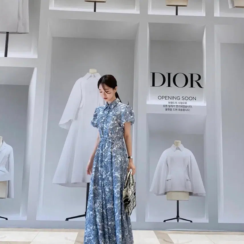 [BUNJANG] Blue Ink Painting Dress / 바이씨니 제작 수묵화원피스 블루