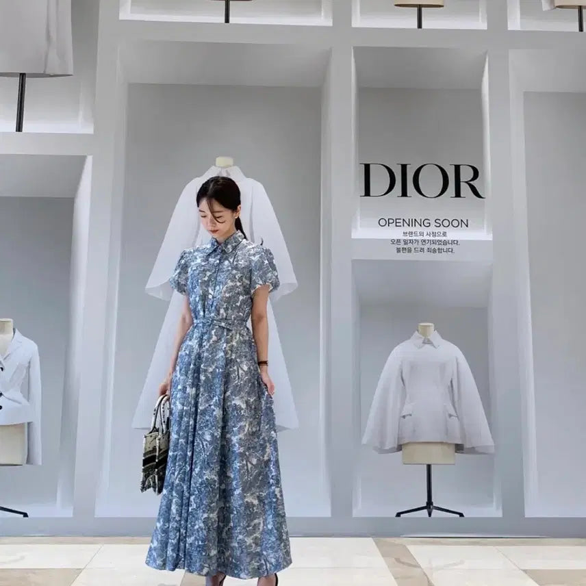 [BUNJANG] Blue Ink Painting Dress / 바이씨니 제작 수묵화원피스 블루